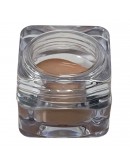 InClinic Cosmetics | Perfect Solution Blemish Treatment Concealer